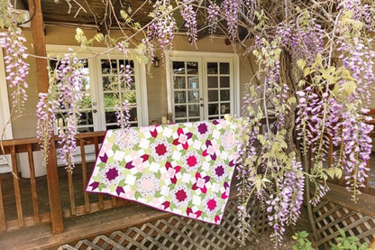 Flower Farm Sampler Quilt Book Quilt Pattern Book 18 Flower Blocks and 7 Quilts by Shelley Cavanna Star Flower Blocks Barn Star