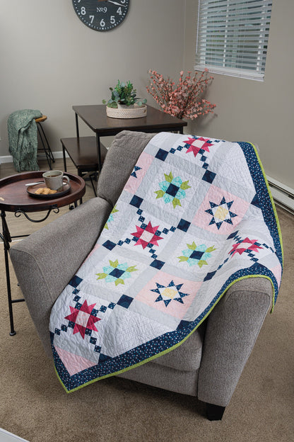 Barn Star Quilt Book Quilt Pattern Book Features 20 Starry Blocks and 7 Quilts by Shelley Cavanna