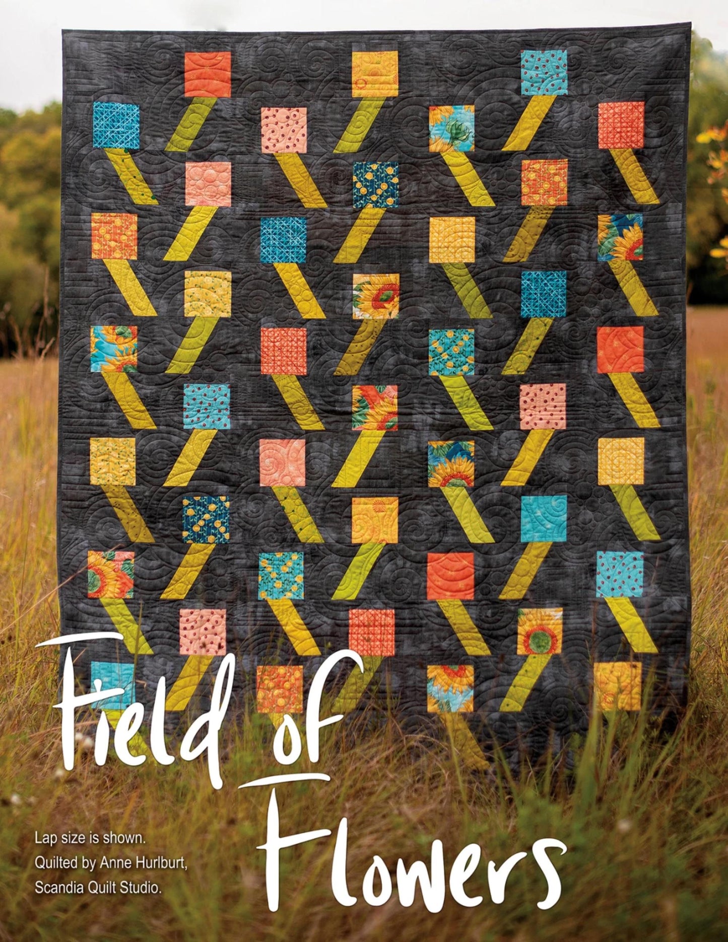 Stripology Mixology 2 Book Features 13 Quick Quilts Using Stripology Rulers GE Designs