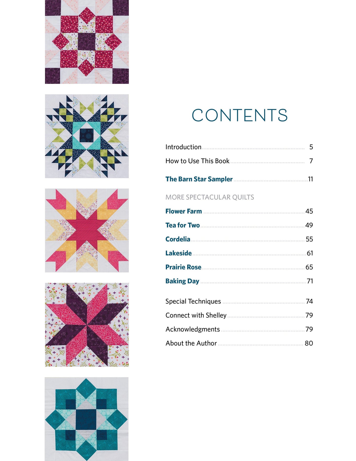Barn Star Quilt Book Quilt Pattern Book Features 20 Starry Blocks and 7 Quilts by Shelley Cavanna