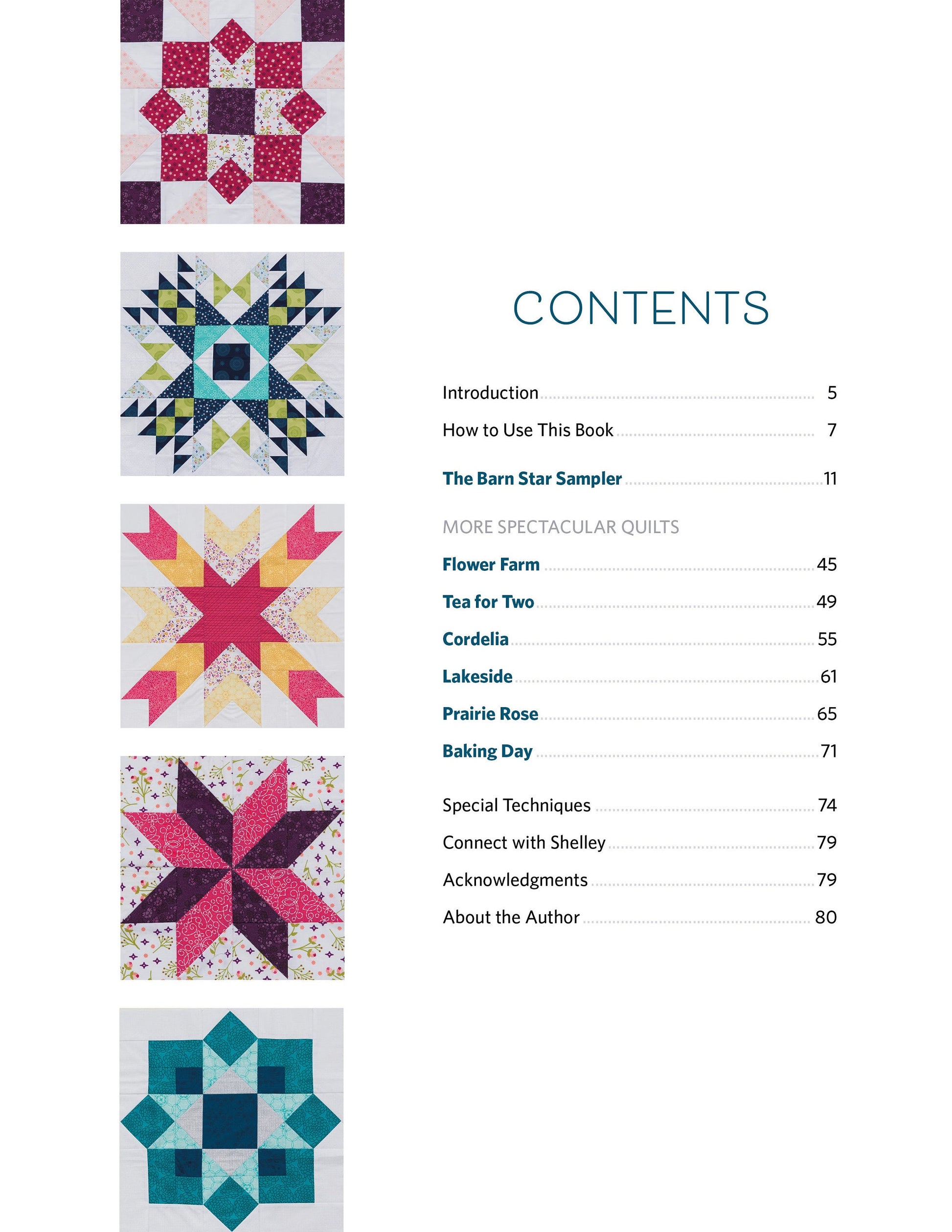 Barn Star Quilt Book Quilt Pattern Book Features 20 Starry Blocks and 7 Quilts by Shelley Cavanna