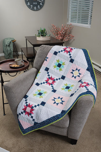 Barn Star Quilt Book Quilt Pattern Book Features 20 Starry Blocks and 7 Quilts by Shelley Cavanna