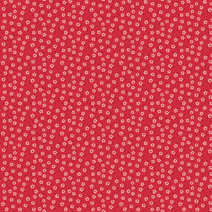 Loose Fat Quarters (2) Various Shop Cut Fat Quarters by Lori Holt for Riley Blake 6 to Pick and Choose Your Favorites Autumn and Mercantile