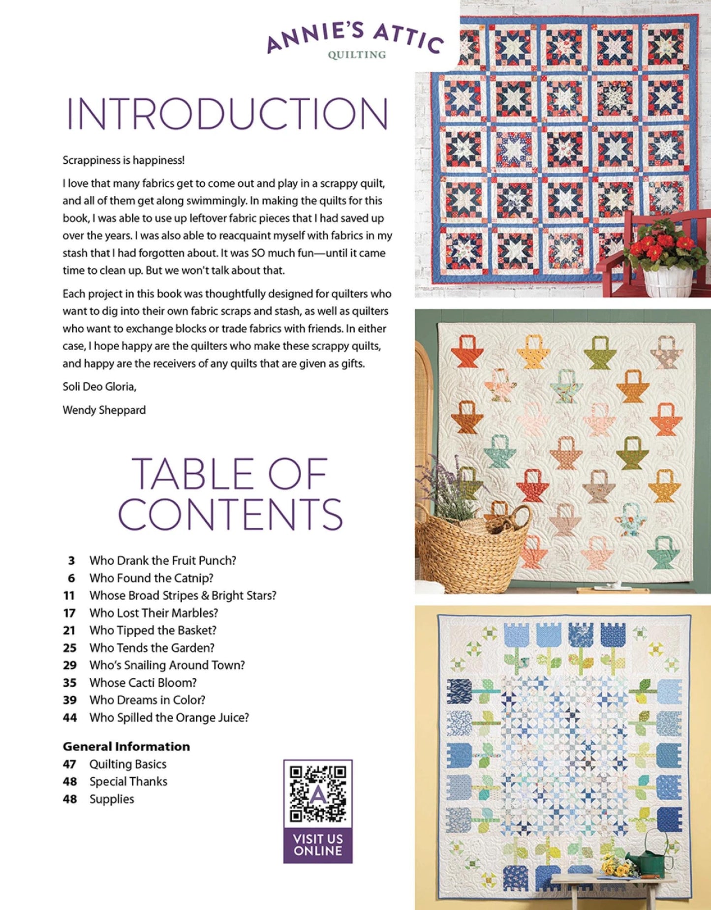 Scrap Quilting With Wendy Shepherd No Waste Fat Quarter or Stash Friendly Gift Quilts Queen Lap
