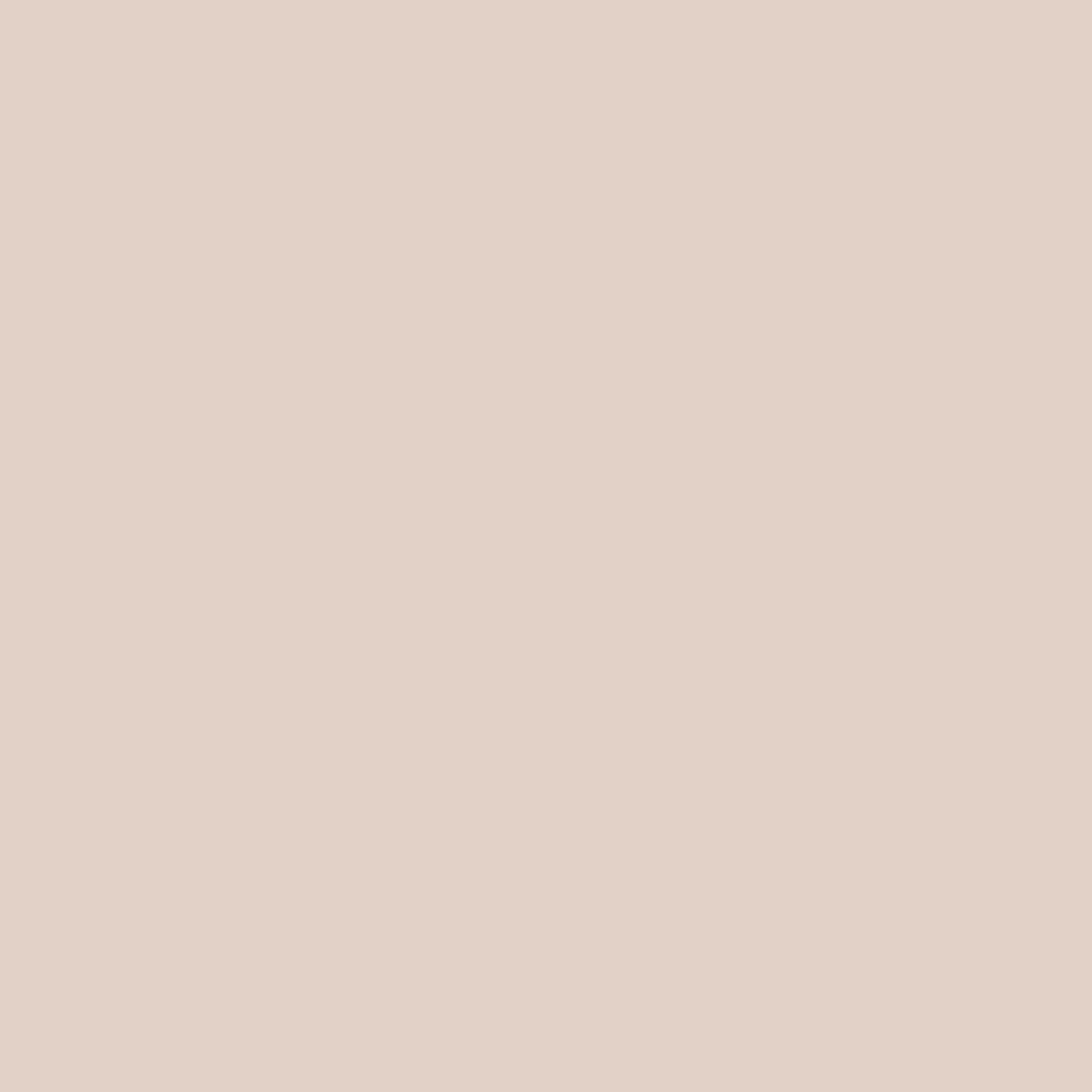 Confetti Cotton Color Cotton Creamy White Solid 44 Inch Quilt Shop Quality by Riley Blake Yardage Priced Per 18" (Half Yard)