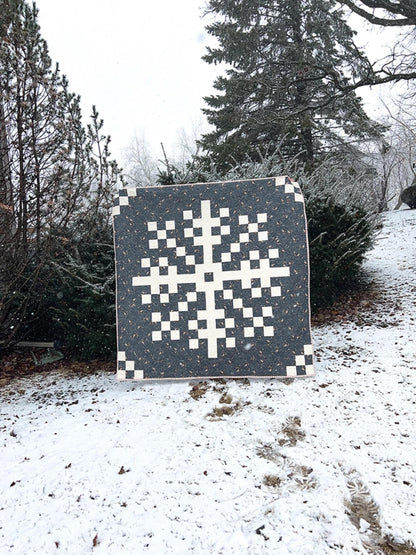 Cozy Quilts for the Modern Home 16 Seasonal Projects Quilt Pattern Book Abby Luchsinger Quilts and Small Projects